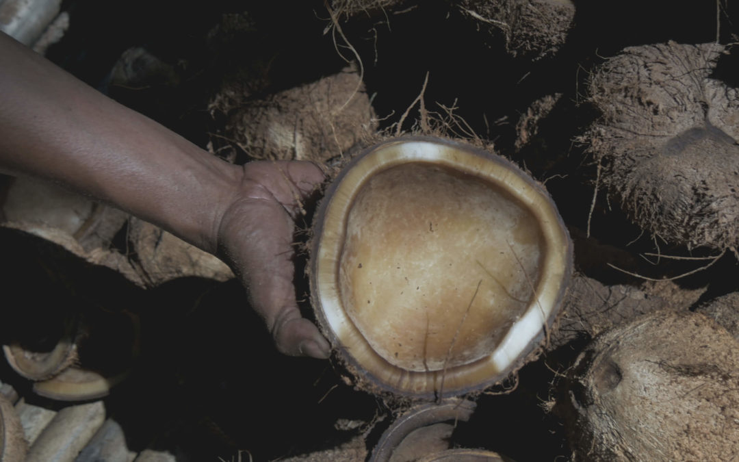 What is Copra Used For? The Industrialized Byproduct of Coconut