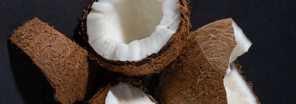 Halved coconut with fibrous brown shell and white flesh, contrasted against a dark background.