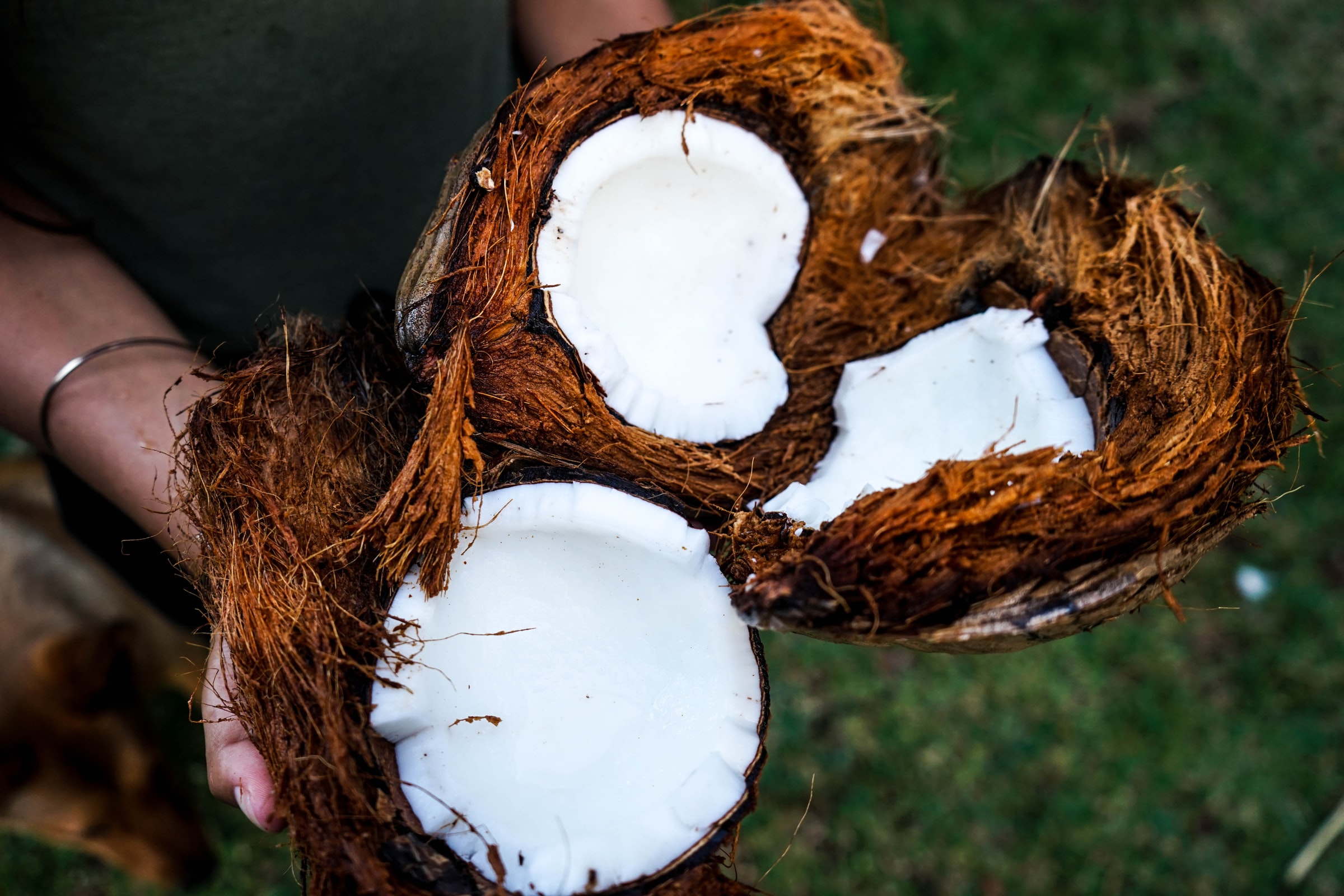 The Anti Aging Properties of Coconut Oil
