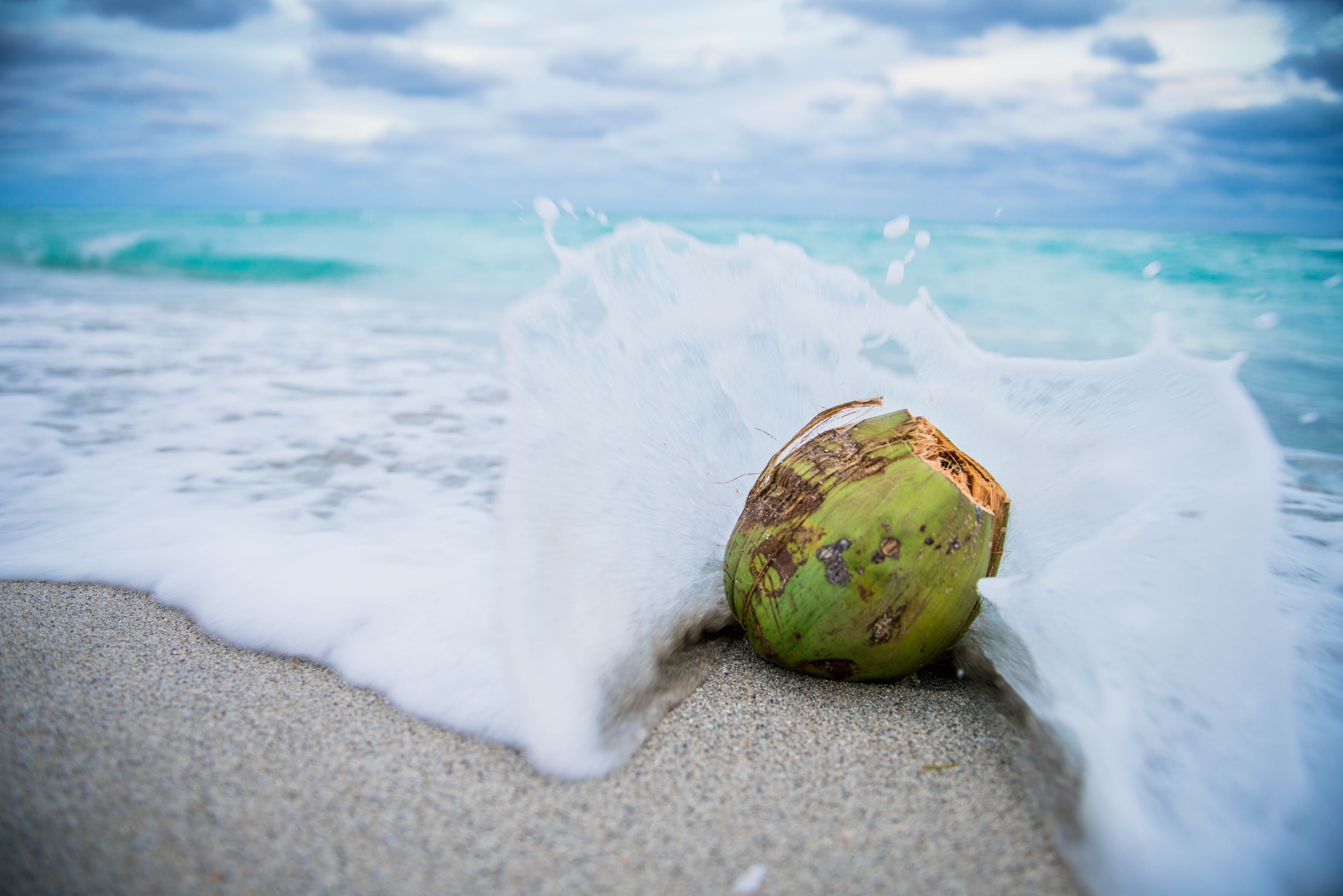 coconut craze