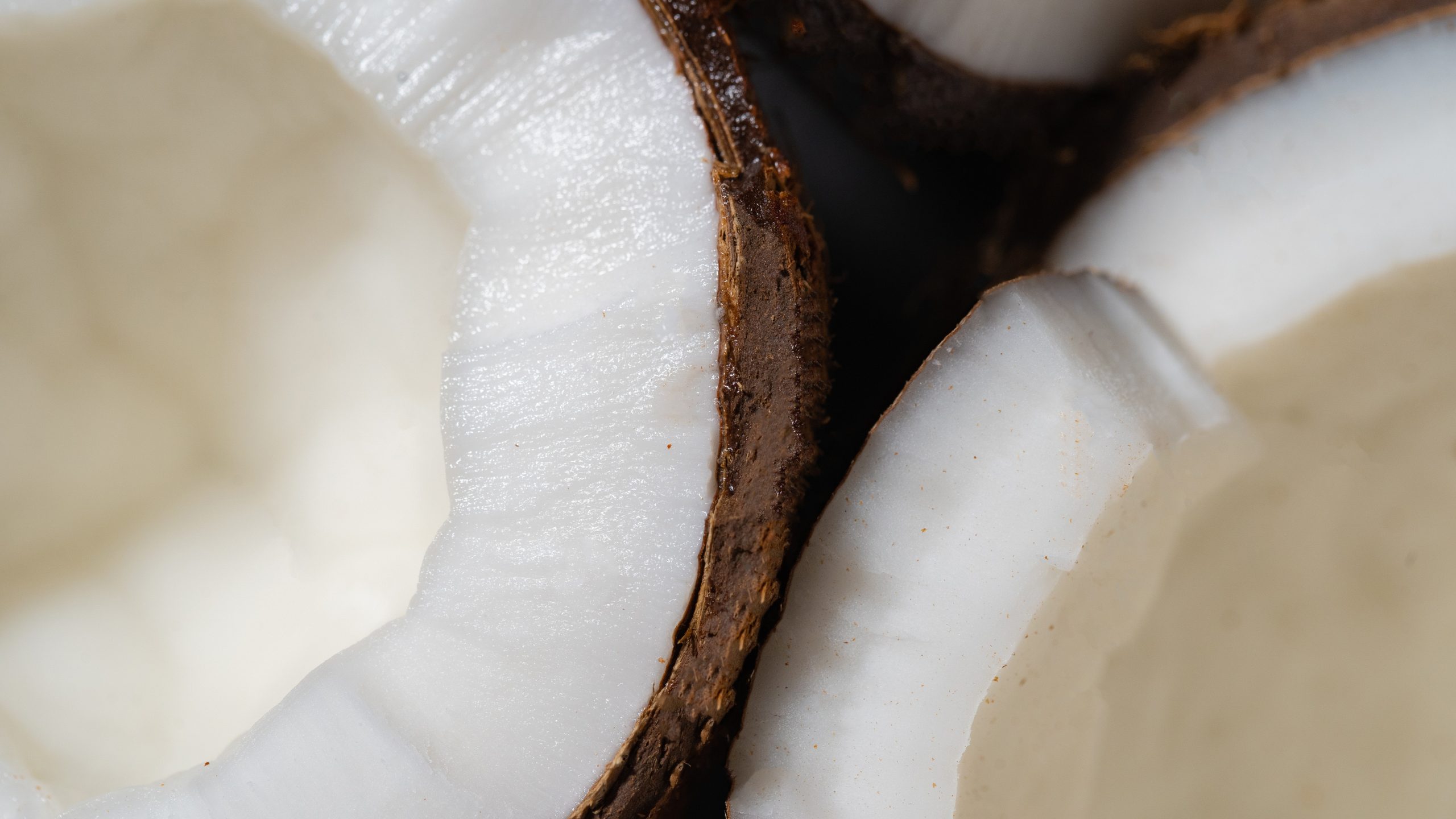 Close-up of a cracked coconut, showing the rough brown outer shell and the smooth white inner flesh. the textures and natural contrasts are highlighted.