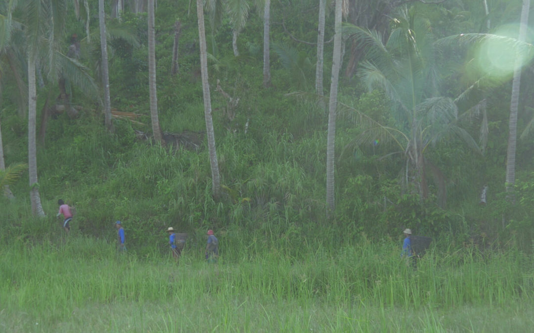 Why I Made Kinabuhi – Will Lauder