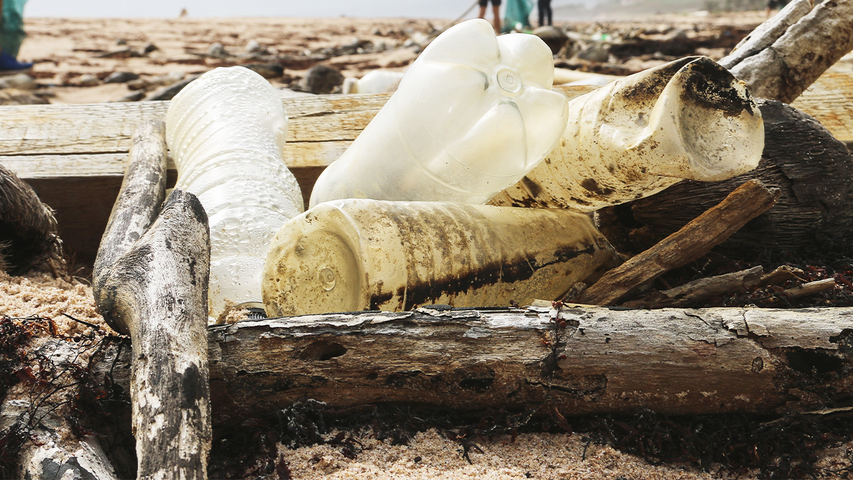 Discarded plastic bottles and weathered wooden debris litter a sandy beach, highlighting environmental pollution issues.