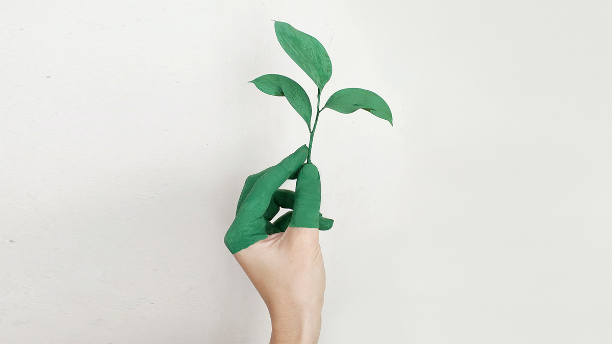 A hand painted green holds a single green leafy branch against a white background, creating the illusion of an extension of the plant.