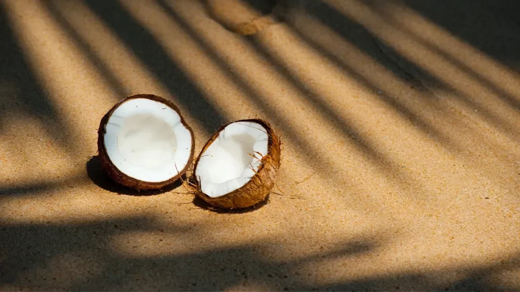 A halved coconut lies on sandy ground with palm tree shadows casting across the surface. The white flesh of the coconut contrasts with the textured brown shell and the golden sand. The natural lighting emphasizes the tropical, serene setting.