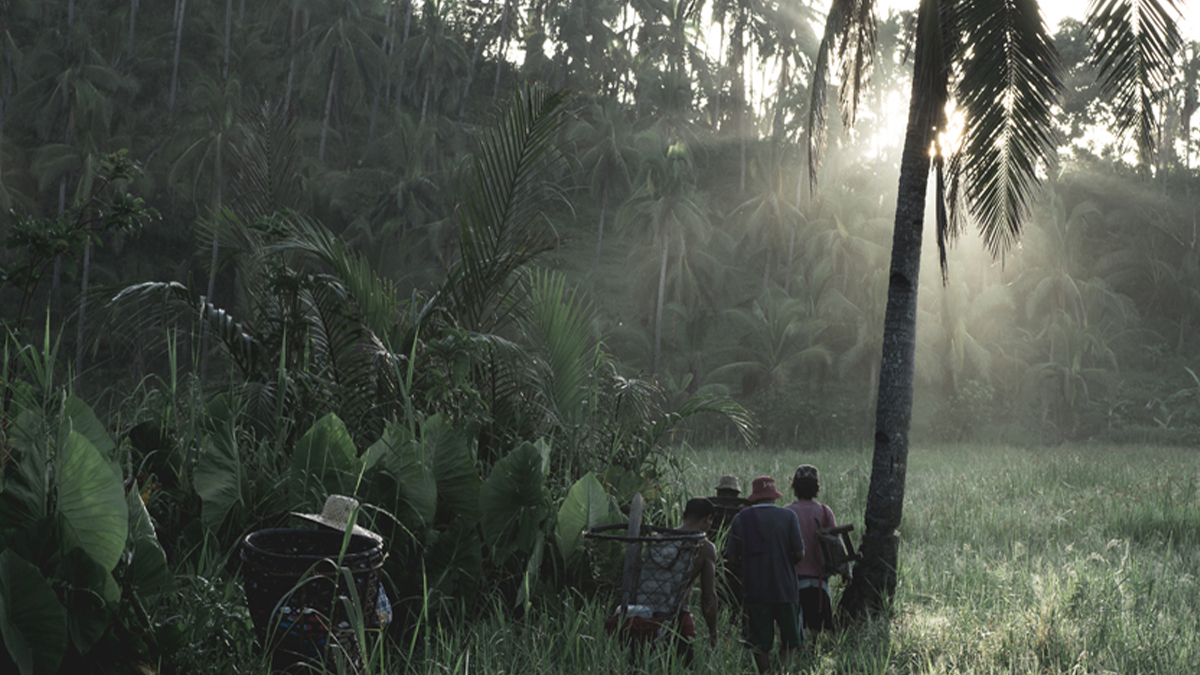 Two people sitting by a tree in a lush, tropical forest at dawn, with sunlight filtering through the foliage and a bicycle parked nearby.