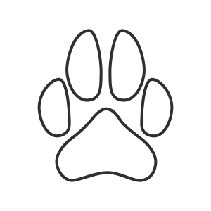 06-Paw-A