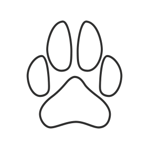 06-Paw-B