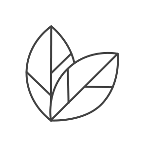 12-Leaves-A