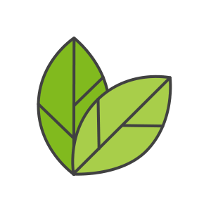 12-Leaves-B
