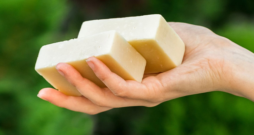 A person holds three large cubes of feta cheese in their open hand, with a natural green background.