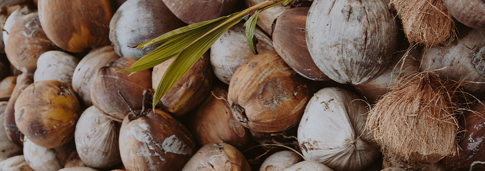 Understanding All The Different Types of Coconut Oil