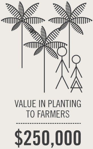 Empowering agriculture: a $250,000 investment in coconut farmers' prosperity.