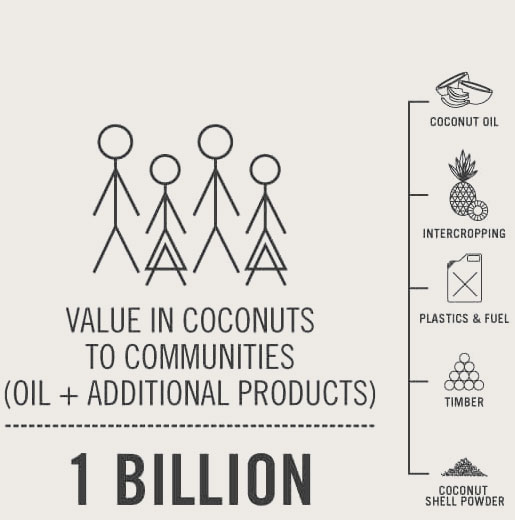 An infographic highlighting the value of coconuts to communities, emphasizing that their worth extends beyond oil to additional products such as intercropping, plastics & fuel, timber, and coconut shell powder, potentially
