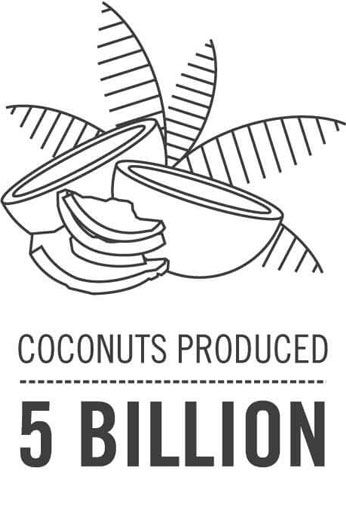 Illustration of a coconut split open with leaves, representing the production of 5 billion coconuts.