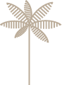 The image appears to be blank or has failed to load properly, displaying only a plain, light-colored background reminiscent of a coconut's interior, with no discernible features or subjects.