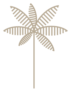 A minimalist, stylized drawing of a palm tree with a brown trunk and six radiating fronds. The leaves have alternating solid and striped segments, creating a simple yet artistic design.