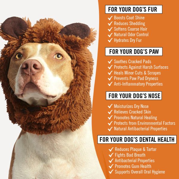 A dog sporting a brown furry hat that looks like a lion’s mane is pictured. The text to the right highlights the benefits of using the Coconut Oil for Dogs, including enhancing coat shine, hydrating dry noses, and reducing plaque for improved dental health.